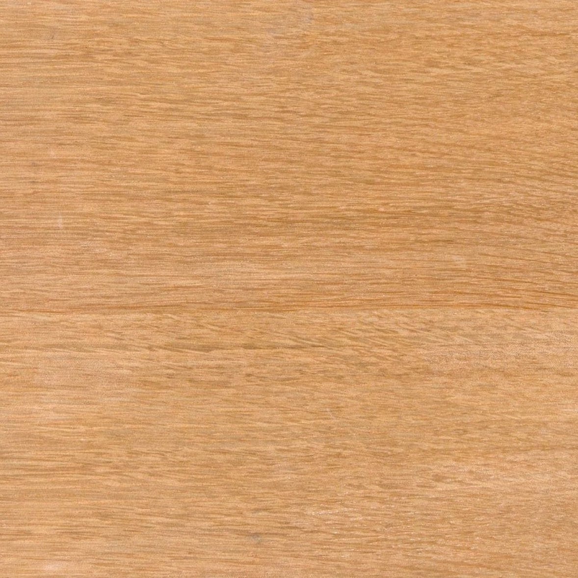 Noir Enzo Console Wooden Console Table noir-GCON427WO