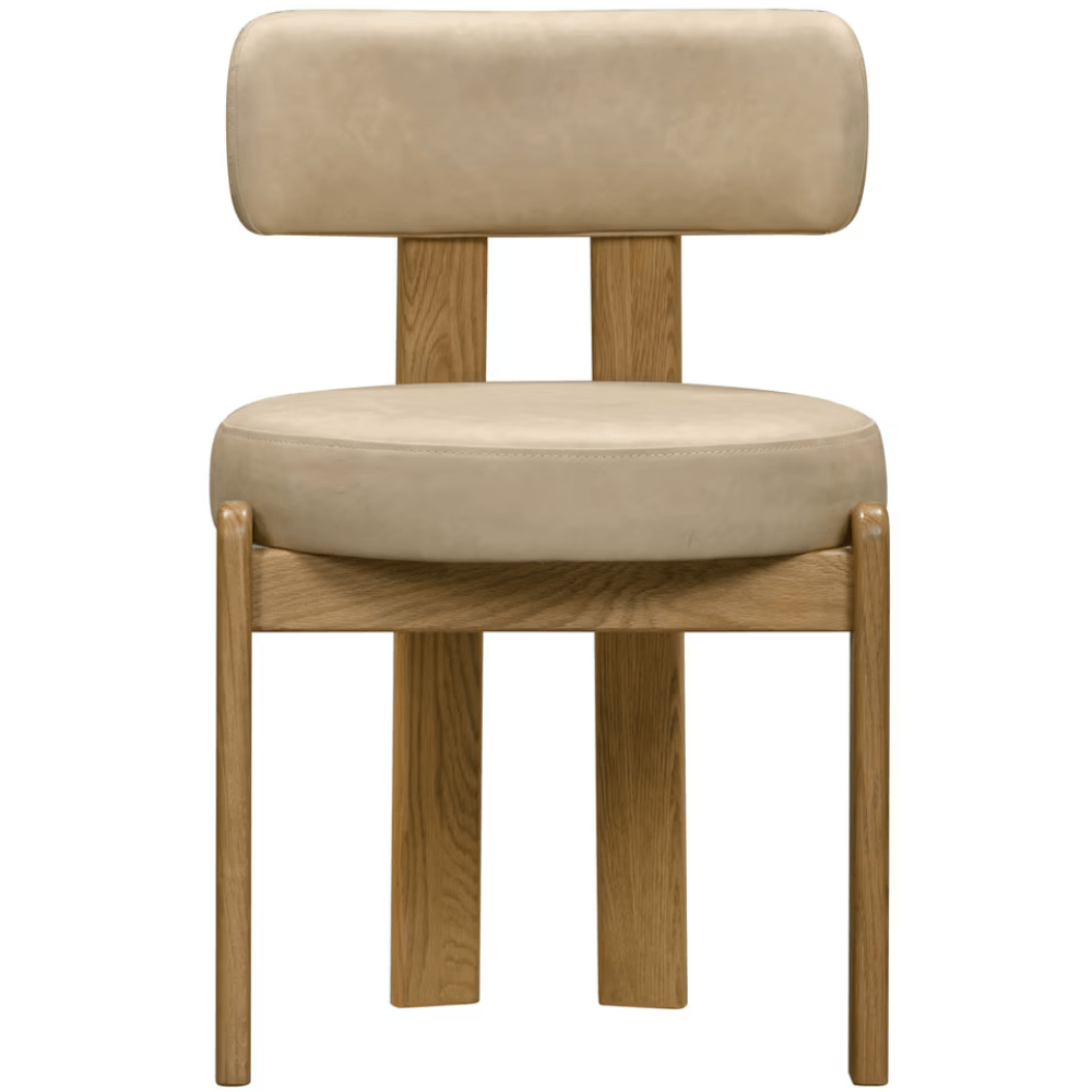 Odetta Dining Chair Dining Chair TOV-D54436