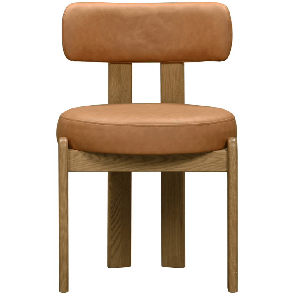 Odetta Dining Chair Dining Chair TOV-D54437