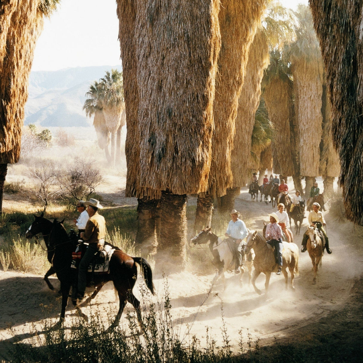 Palm Springs Riders by Slim Aarons Art