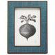 Pigeon & Poodle Aberdeen Picture Frame Pillow & Decor