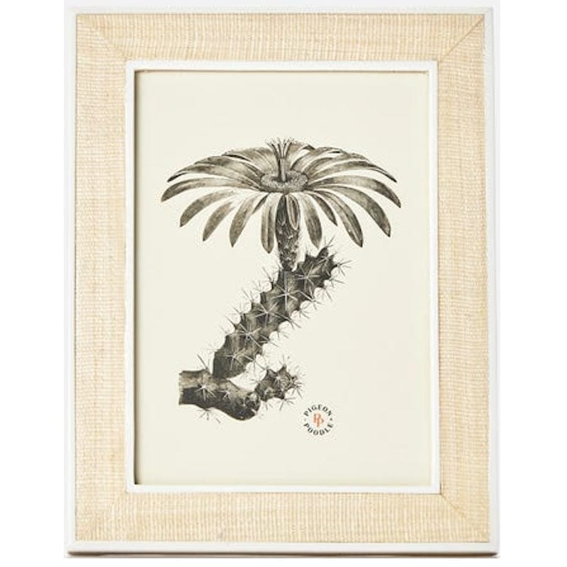 Pigeon & Poodle Aberdeen Picture Frame Pillow & Decor pigeon-poodle-PP001606