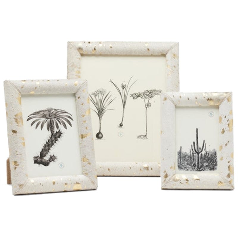 Pigeon & Poodle Jena Picture Frame Picture Frames