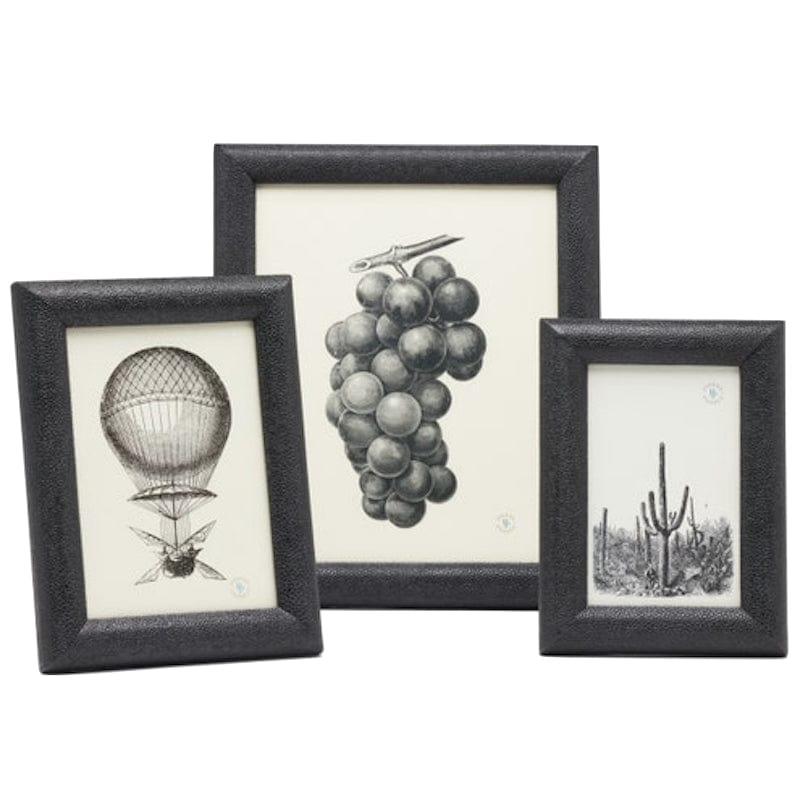 Pigeon & Poodle Oxford Picture Frame Pillow & Decor