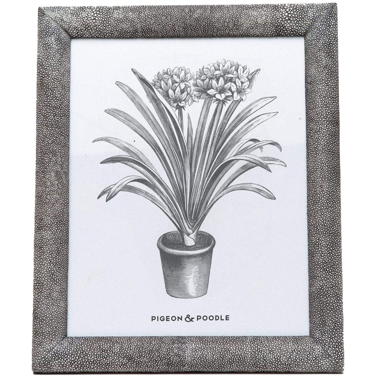 Pigeon & Poodle Oxford Picture Frame Pillow & Decor