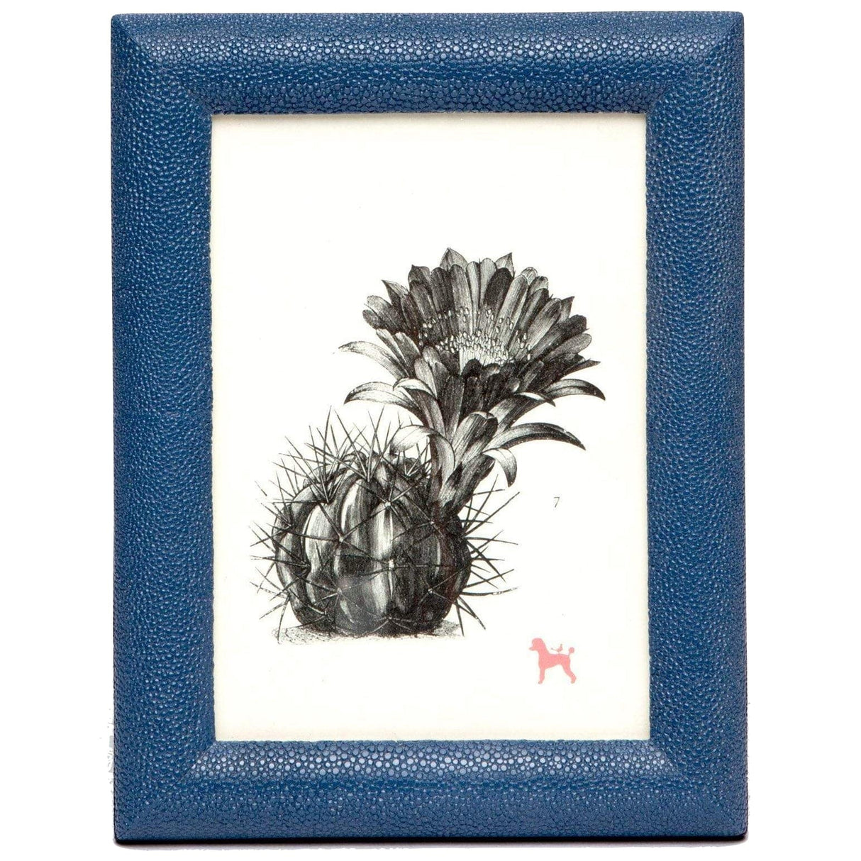 Pigeon & Poodle Oxford Picture Frame Pillow & Decor