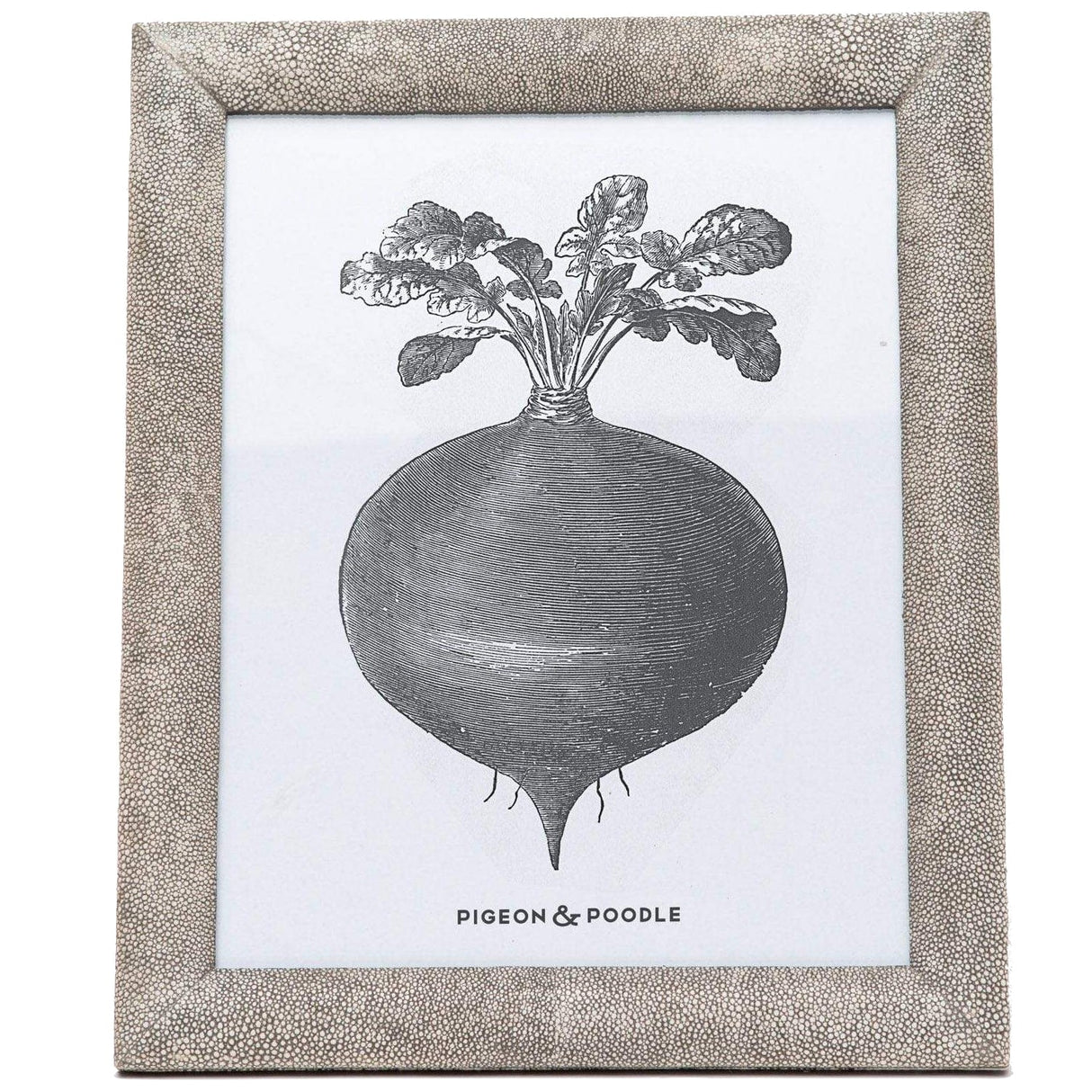 Pigeon & Poodle Oxford Picture Frame Pillow & Decor