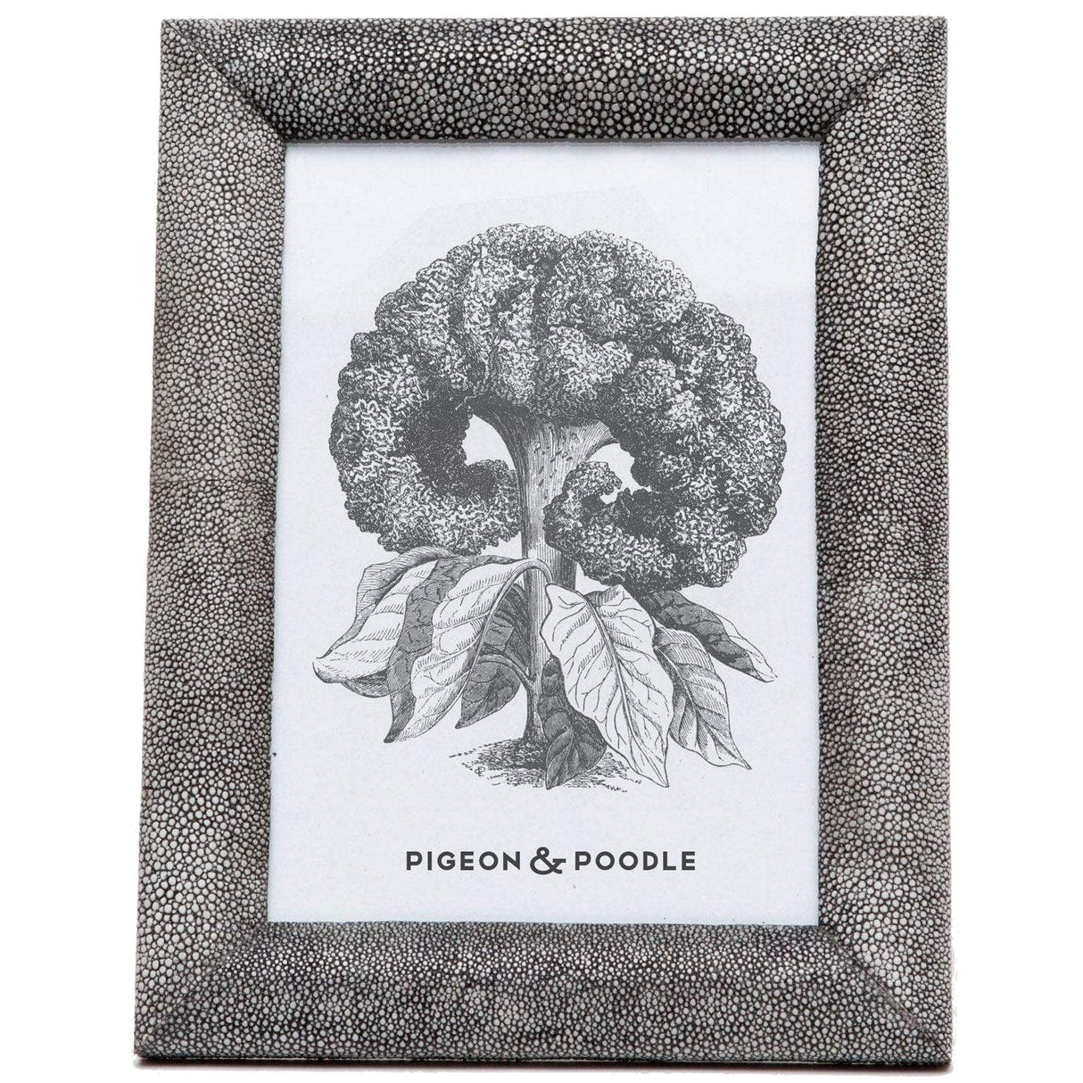 Pigeon & Poodle Oxford Picture Frame Pillow & Decor