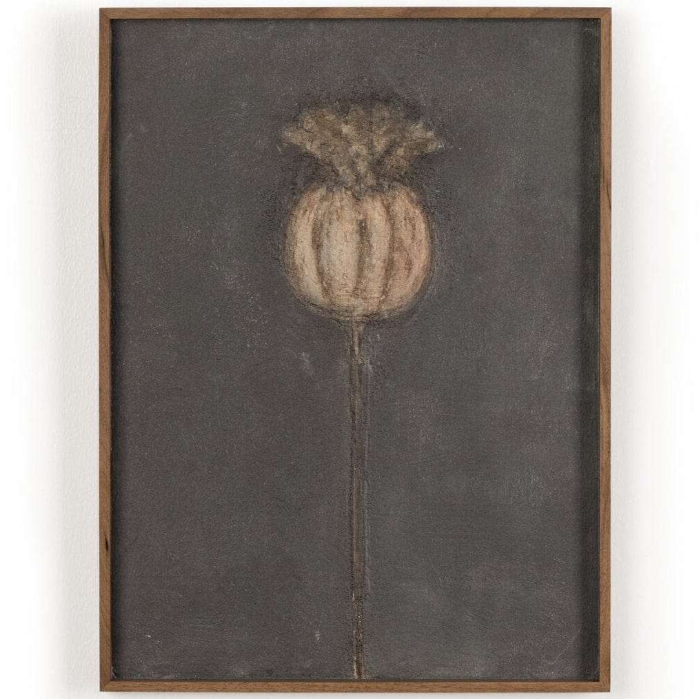 Poppy Noche by Paul Meyer Wall Art 250886-001