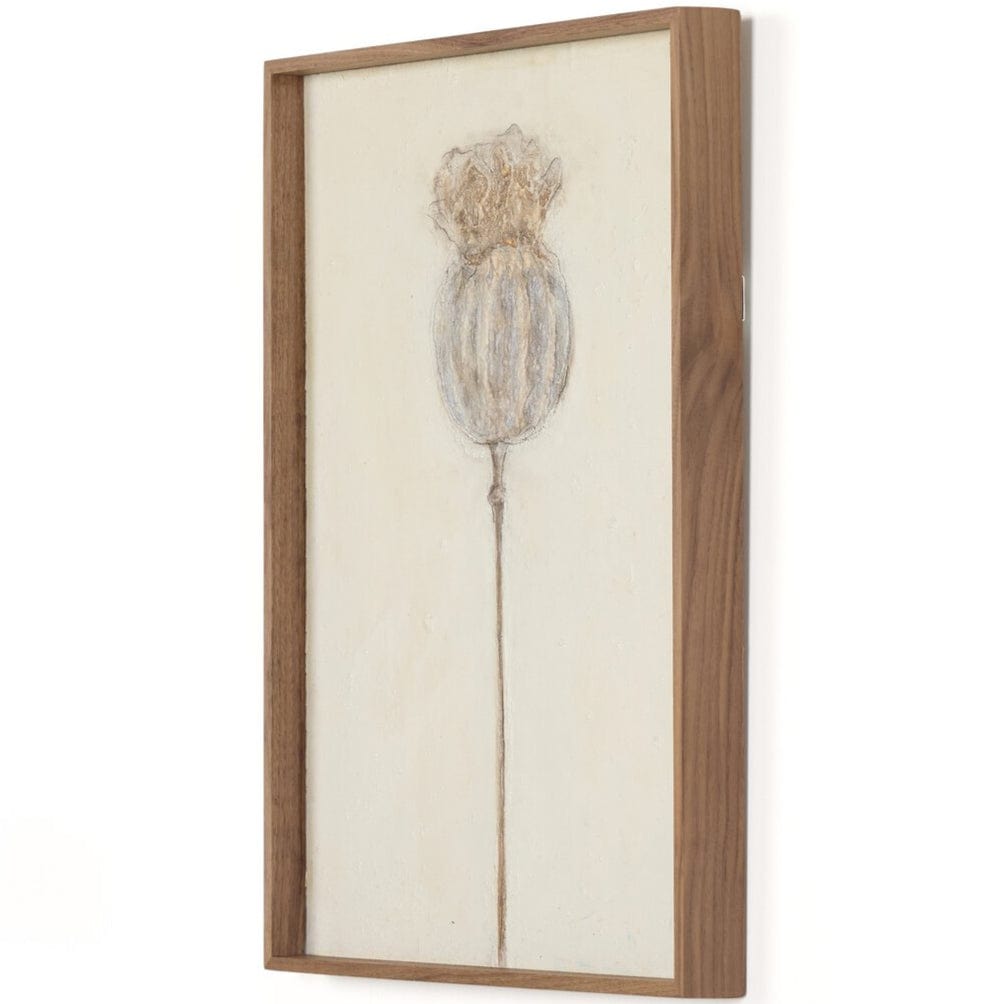 Poppy Triptych by Paul Meyer (Set of 3) Wall Art