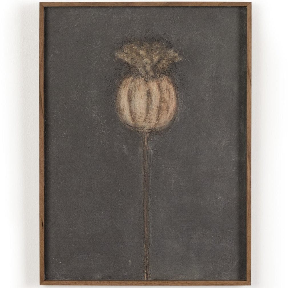 Poppy Triptych by Paul Meyer (Set of 3) Wall Art