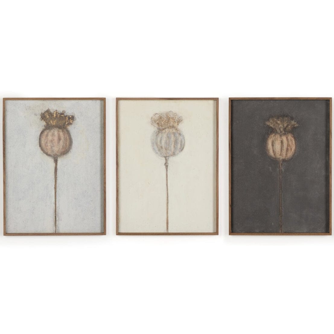 Poppy Triptych by Paul Meyer (Set of 3) Wall Art 251242-004