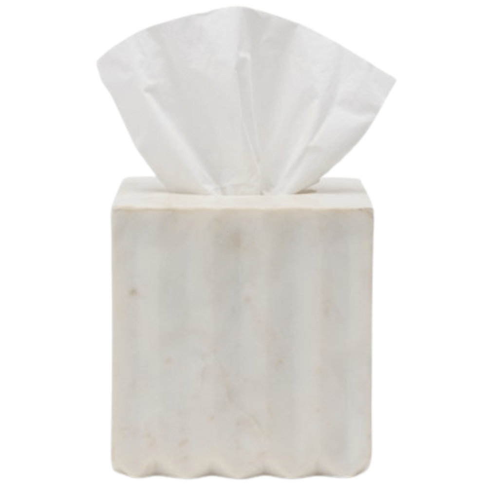 Proviso Bath Collection Bath Accessory 01PROV-WH-TBSS