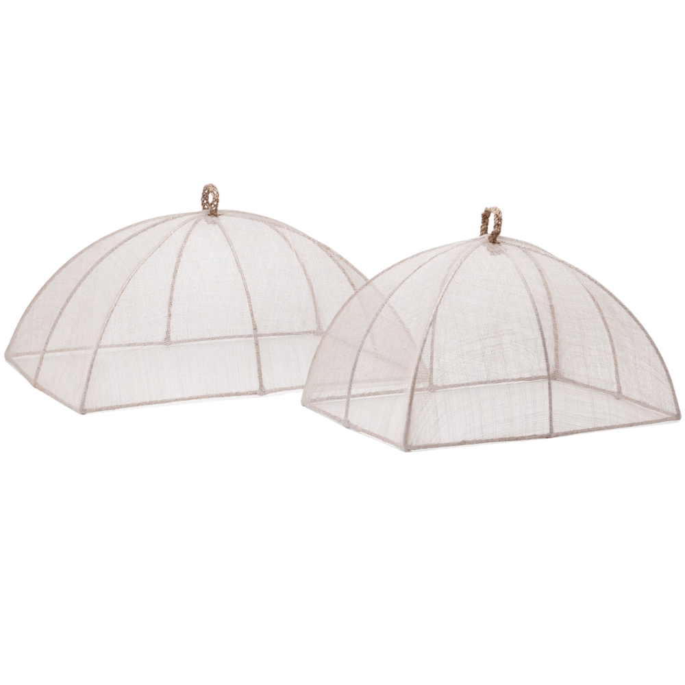 Rachel Rectangle Food Covers (Set of 2) Serveware BP004544 38415971043780