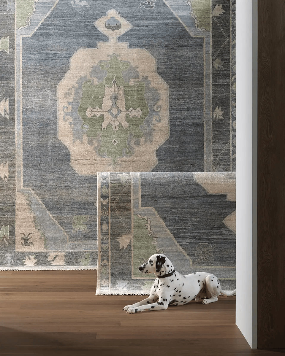 Reza Kieran Rug Area Rugs