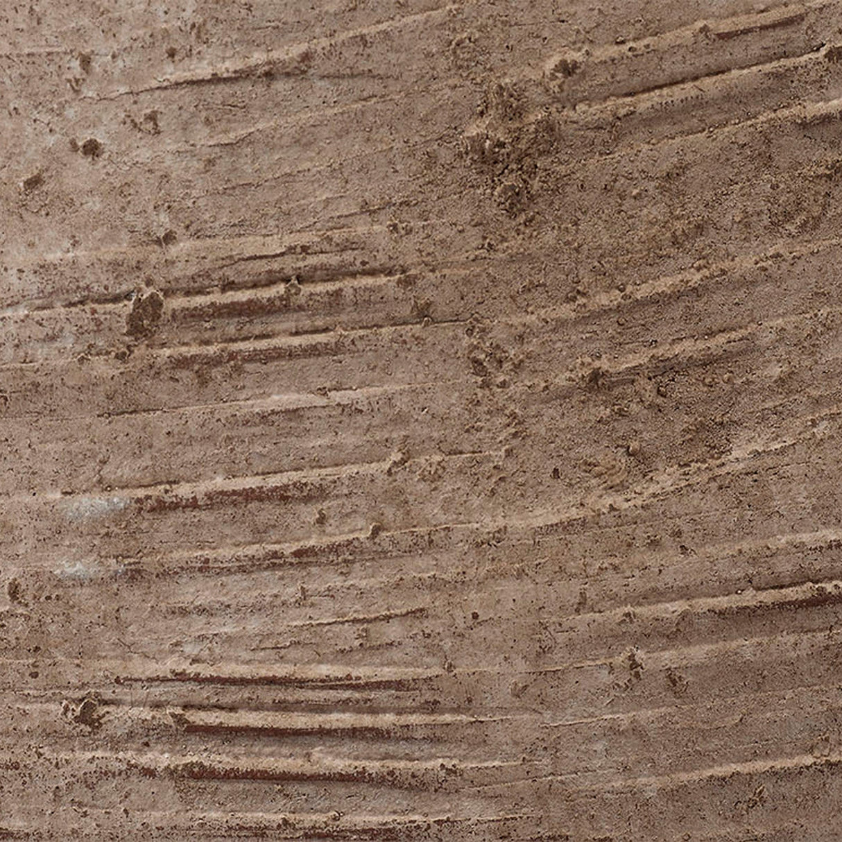 Root Vase Decorative Object 7ROOT-VABE 688933035964