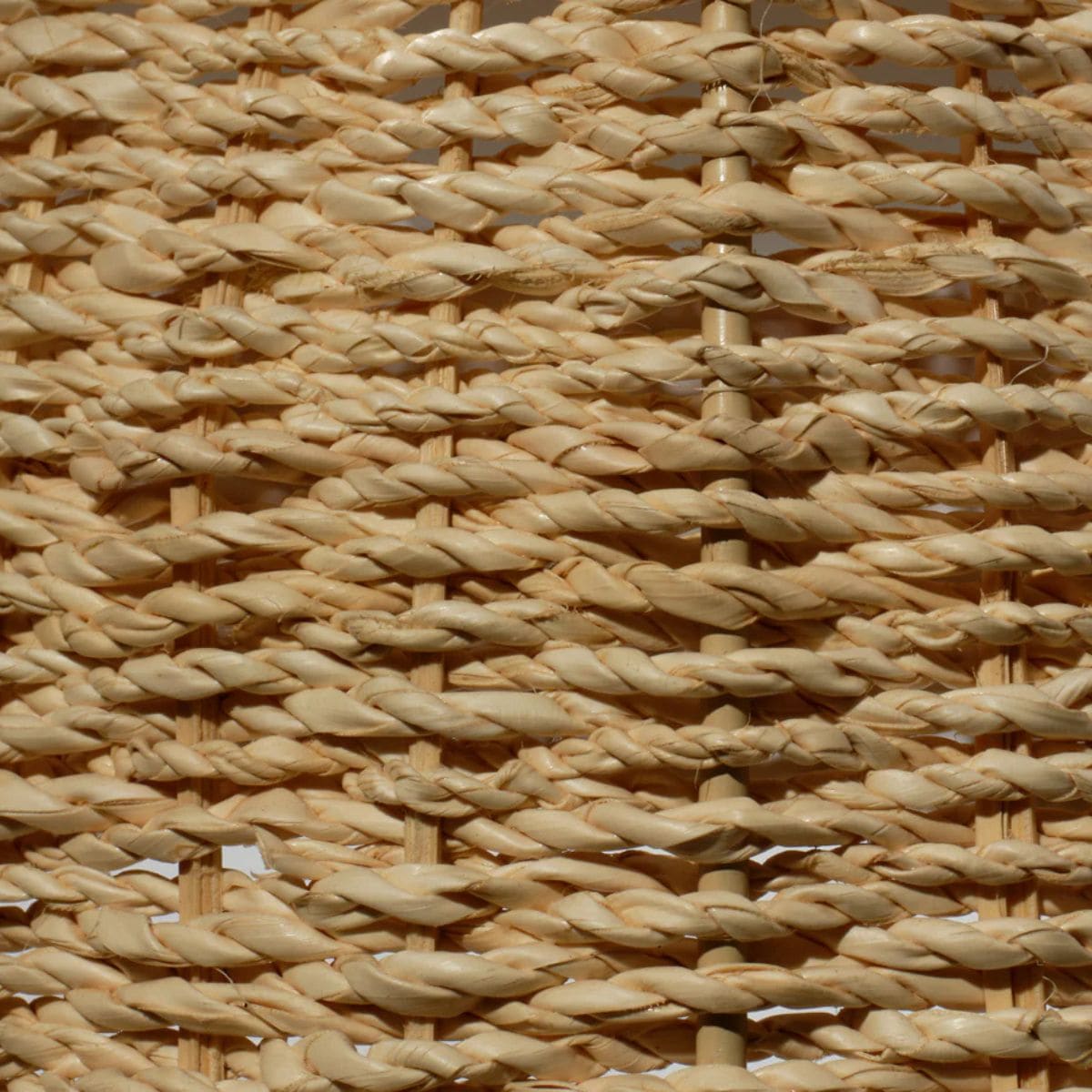 Rosemary Pendant Pendants