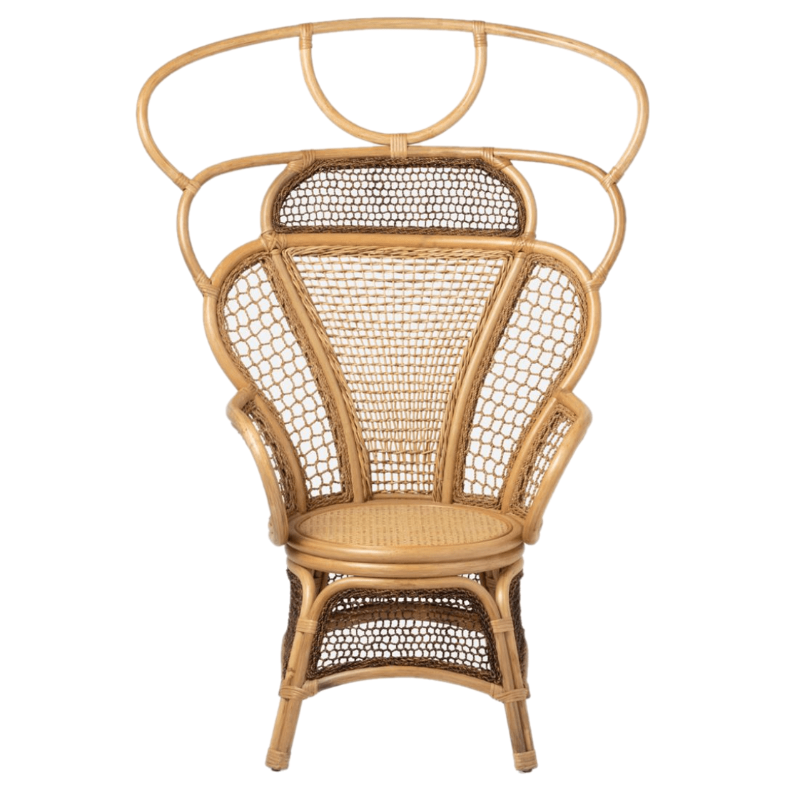 Safiya Wing Chair Occasional + Accent Chairs FURSAFIYALOCHNT