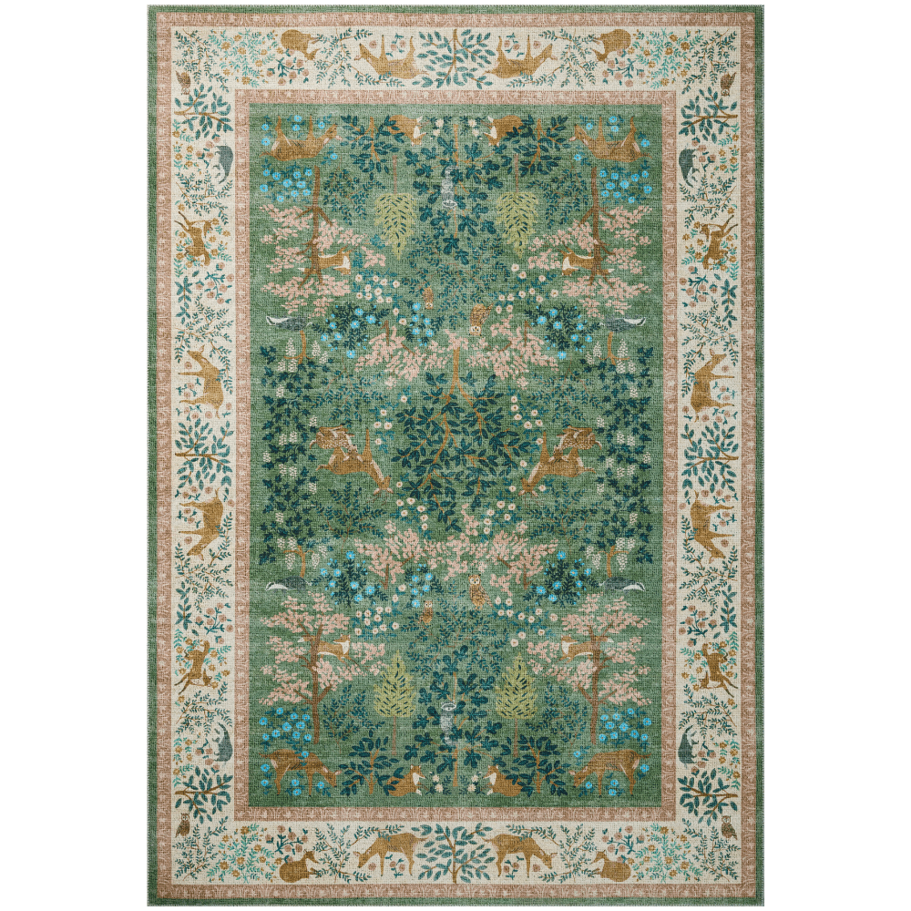 Sage/Blush Canopy Rug Area Rug CNPYCNP-02SGBH2030 885369833700