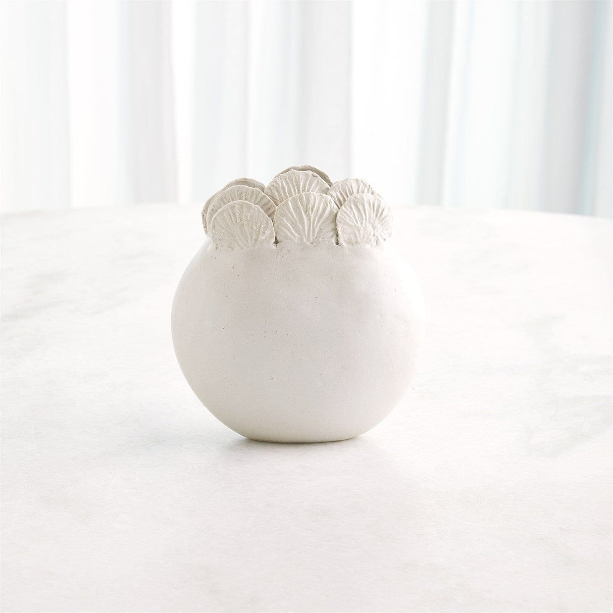 Sand Dollar Vases Vases