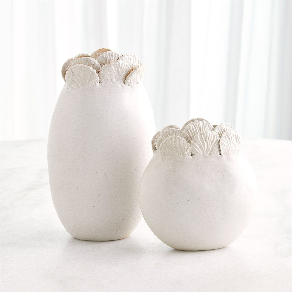 Sand Dollar Vases Vases