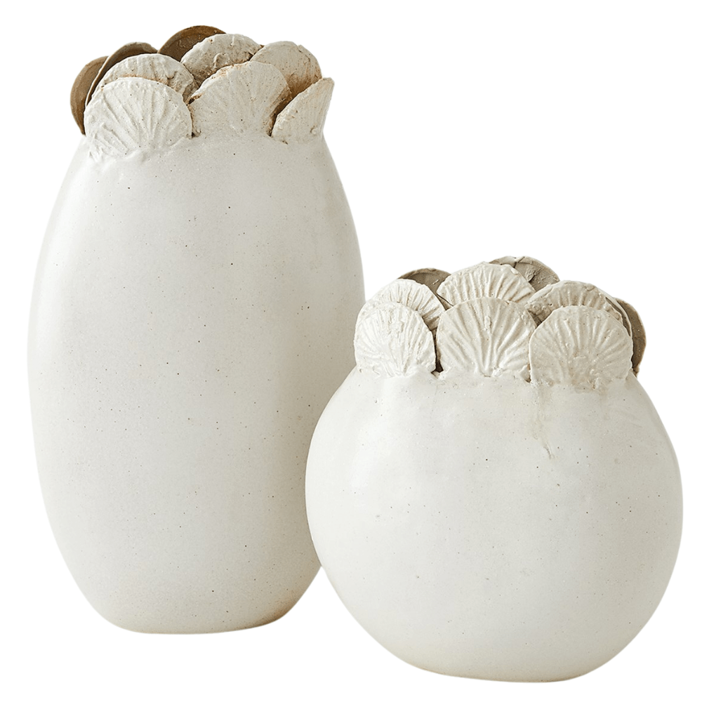 Sand Dollar Vases Vases