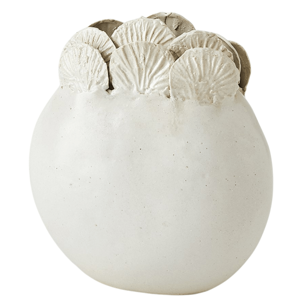 Sand Dollar Vases Vases 7.91771
