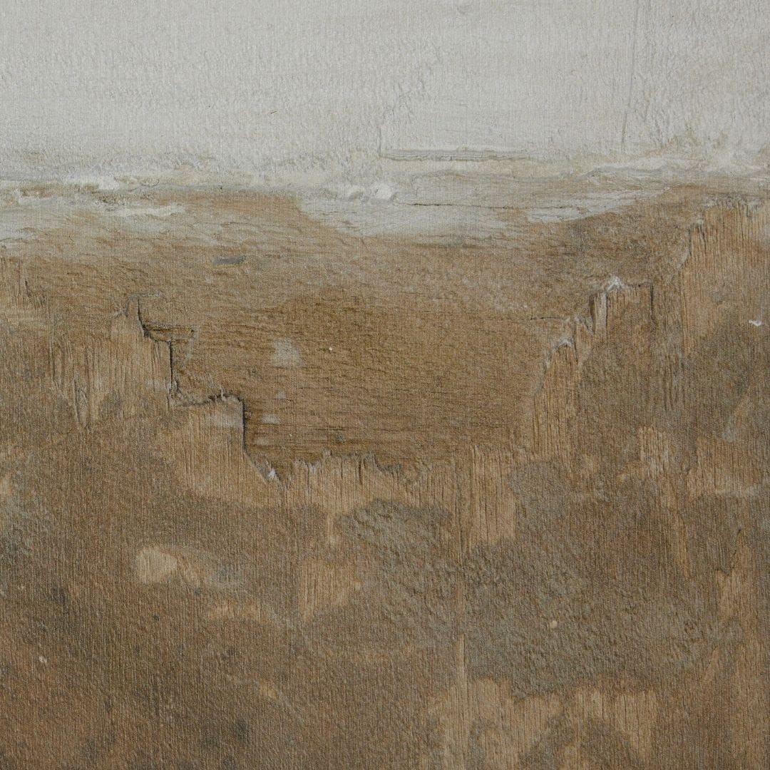 Sonora by Paul Meyer Wall Art