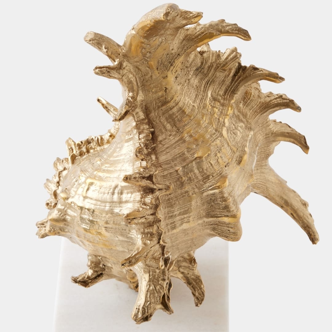 Spider Conch Shell Sculpture Sculptural Objects 883301