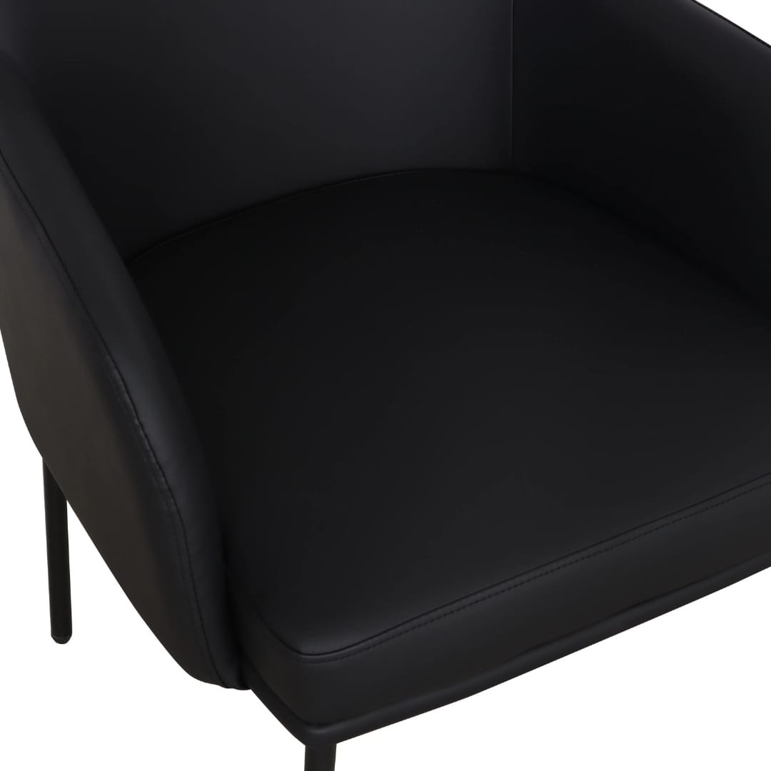 Sydney Dining Chair (Set of 2) Dining Chairs + Benches