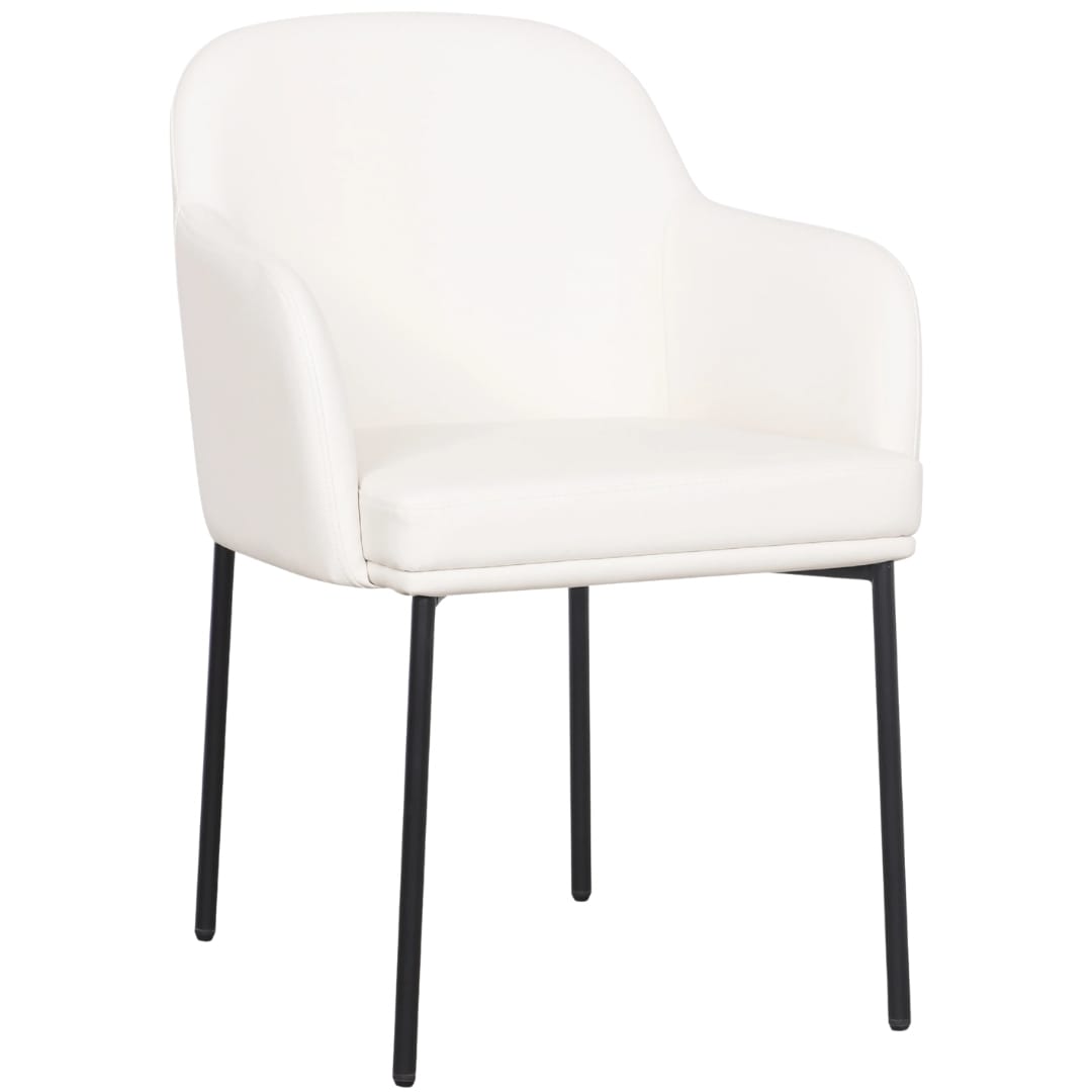 Sydney Dining Chair (Set of 2) Dining Chairs + Benches