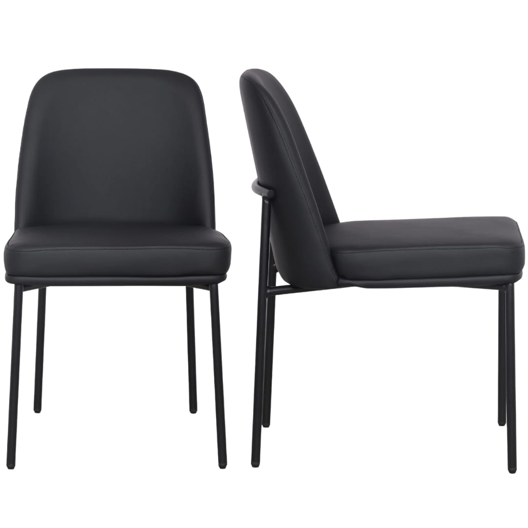Sydney Dining Chair (Set of 2) Dining Chairs + Benches TOV-D54769 793580648914