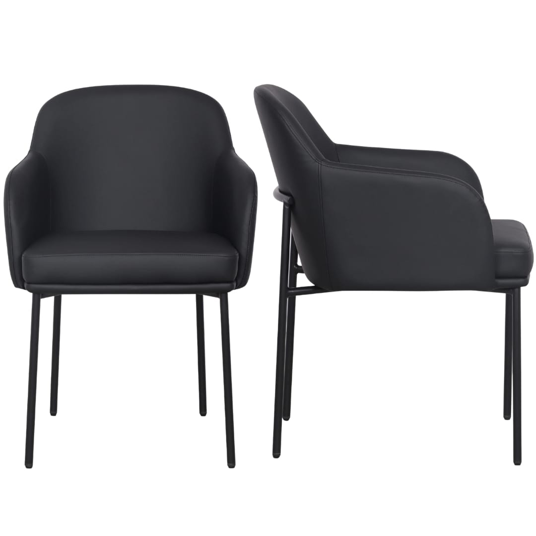 Sydney Dining Chair (Set of 2) Dining Chairs + Benches TOV-S54777 793580648990