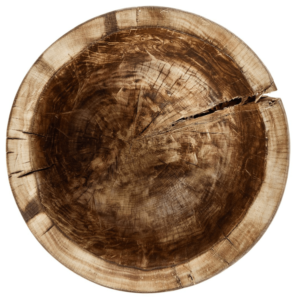 Tazia Bowl Decorative Object 243778-001 801542490317