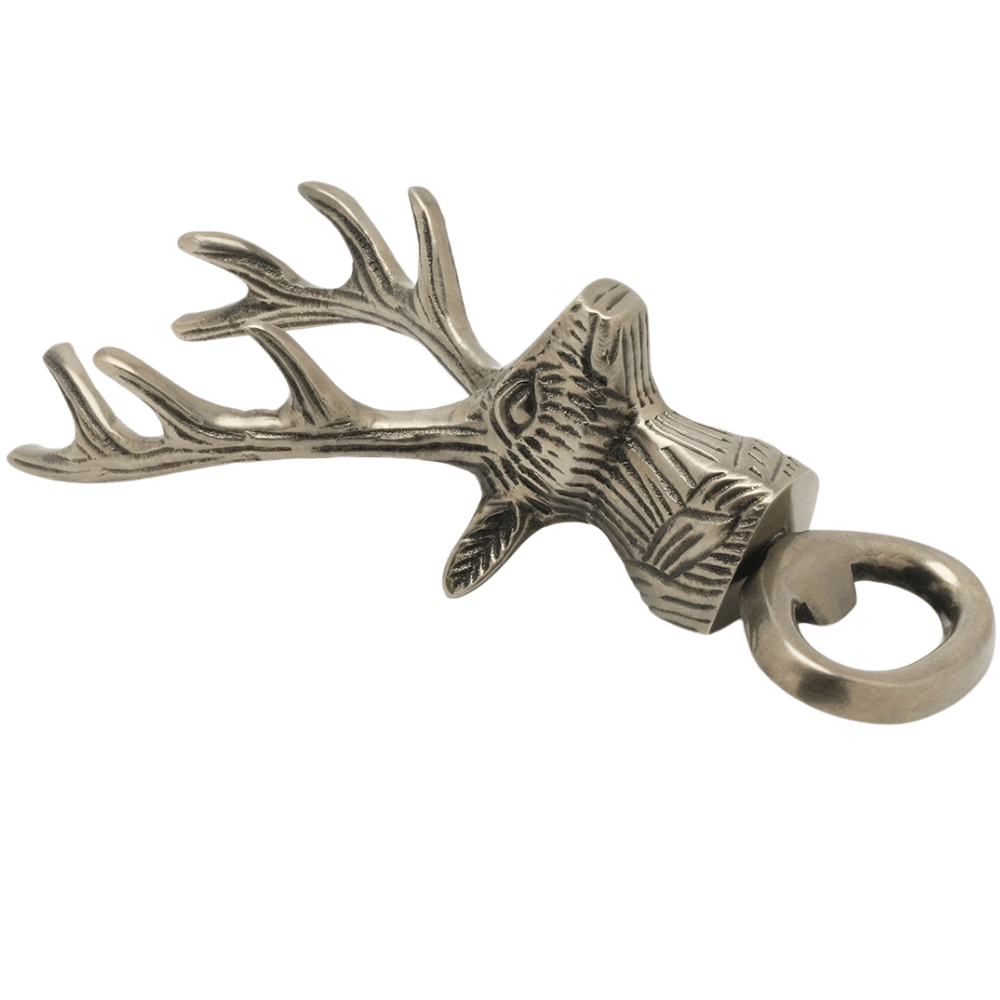 Theodore Bottle Opener (Pack of 2) Kitchen Accessory