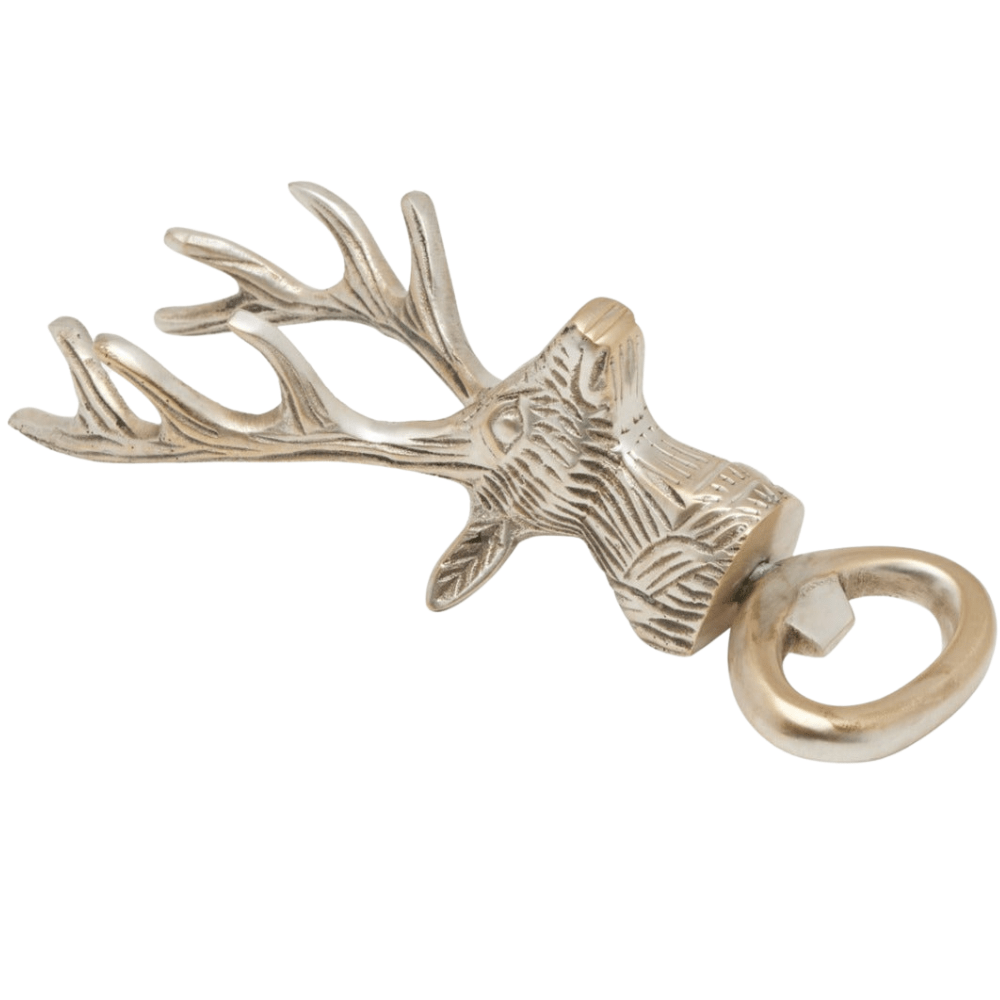 Theodore Bottle Opener (Pack of 2) Kitchen Accessory