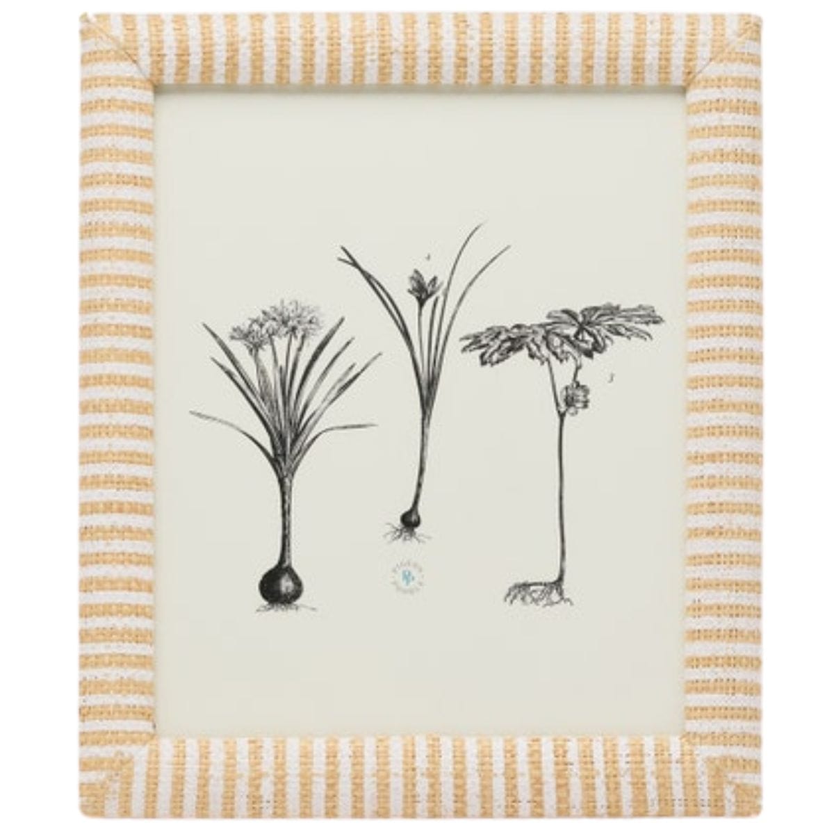 Toluca Picture Frame Picture Frame 02TOLU-WHNT-8X10