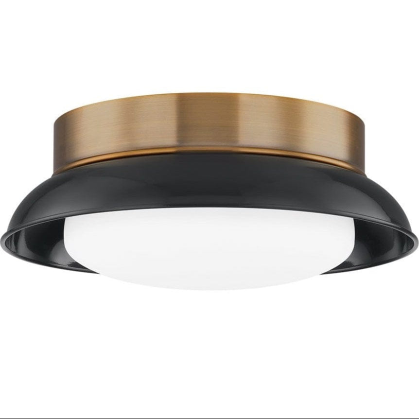 Troy Lighting Arnie Flush Mount Flush Mount troy-