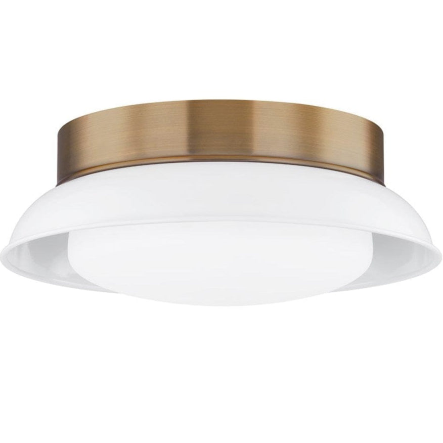 Troy Lighting Arnie Flush Mount Flush Mount troy-