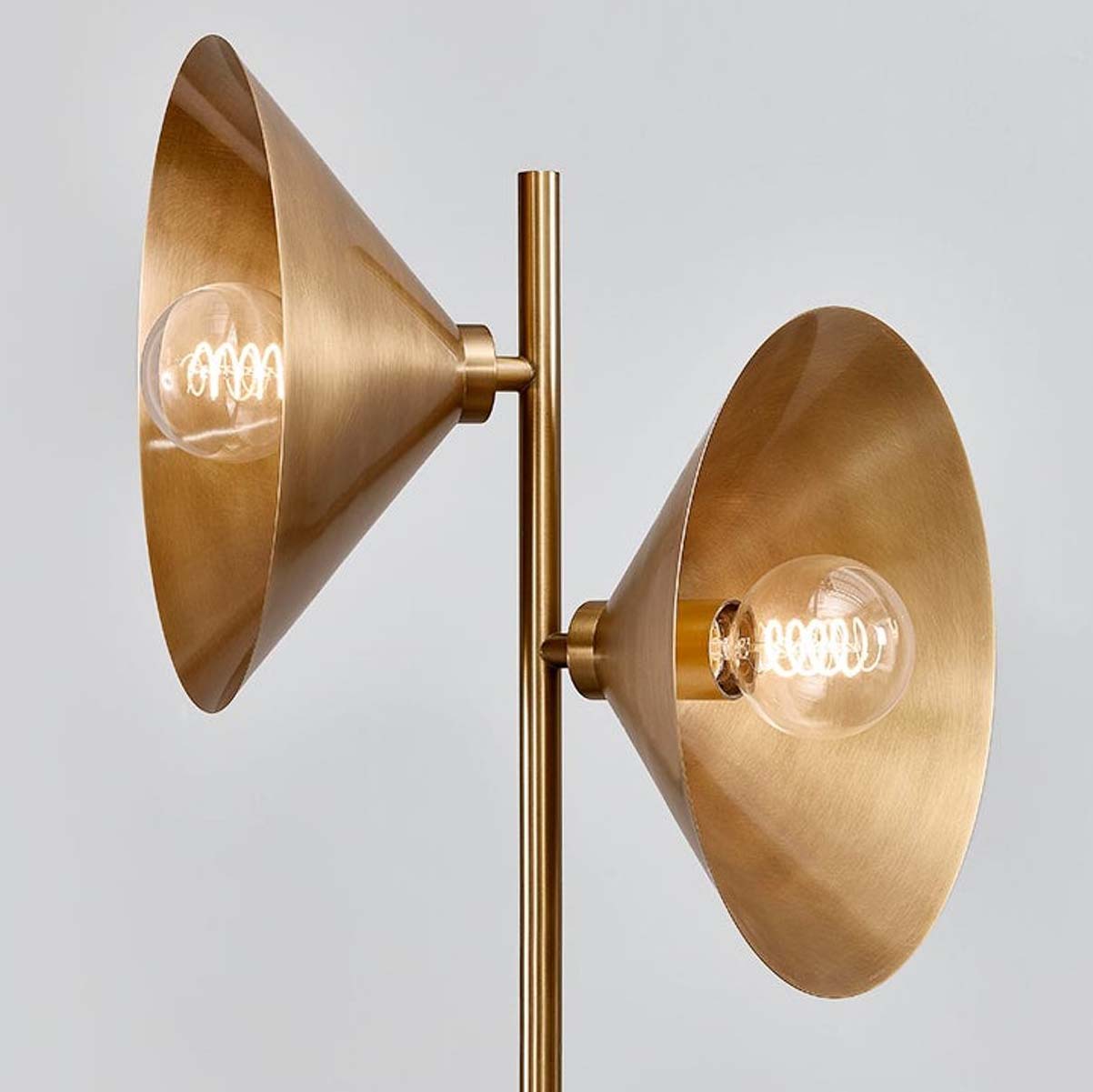 Troy Lighting Bash Floor Lamp Floor Lamp troy-PFL1064-PBR 197292072676