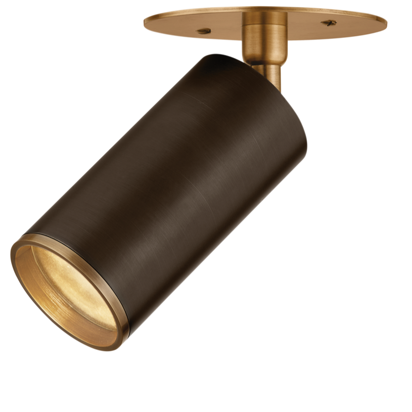 Troy Lighting Caleb Flush Mount Flush Mount troy-C1305-PBR/BRZ