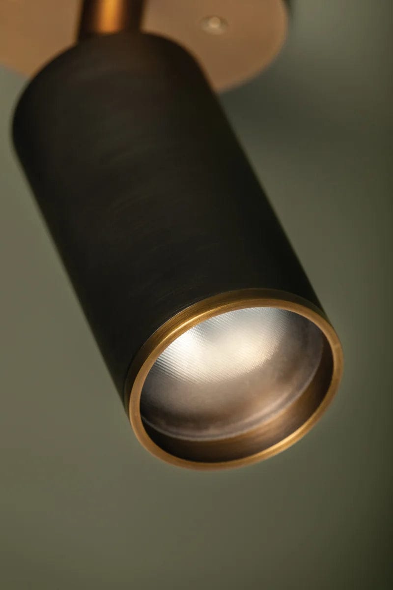 Troy Lighting Caleb Flush Mount Flush Mount troy-C1305-PBR/BRZ