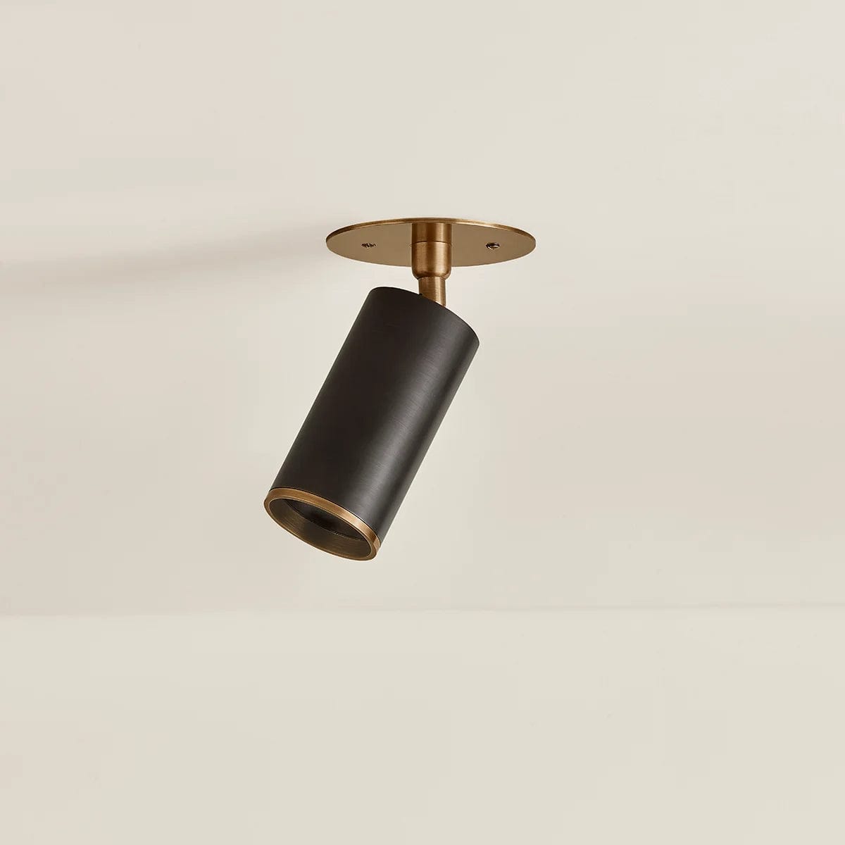 Troy Lighting Caleb Flush Mount Flush Mount troy-C1305-PBR/BRZ