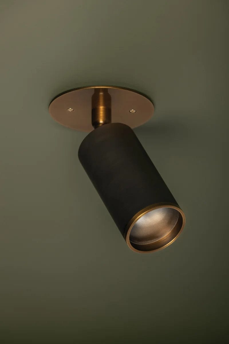 Troy Lighting Caleb Flush Mount Flush Mount troy-C1305-PBR/BRZ