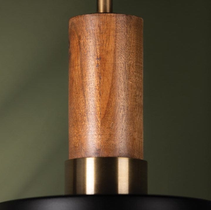 Troy Lighting Memphis Pendant Pendants troy-F8608-PBR/SBK