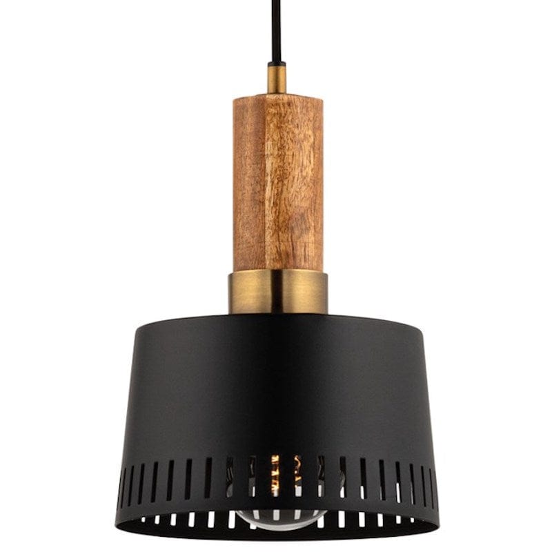 Troy Lighting Memphis Pendant Pendants troy-F8608-PBR/SBK
