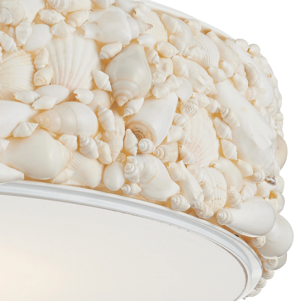 Turbinella Semi-Flush Mount Flush Mount 9000-1324 00633306064492