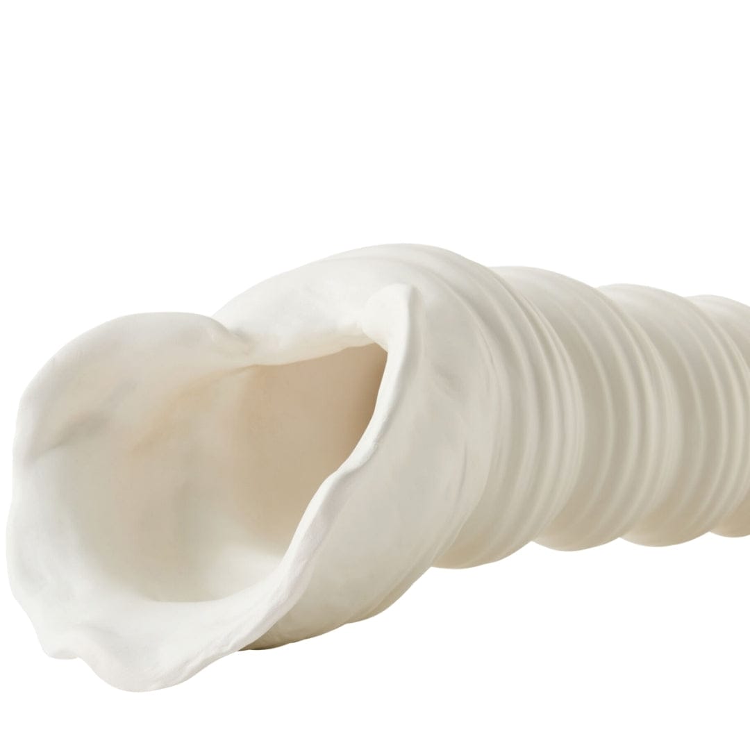 Turbinio Shell Vase Sculptural Objects