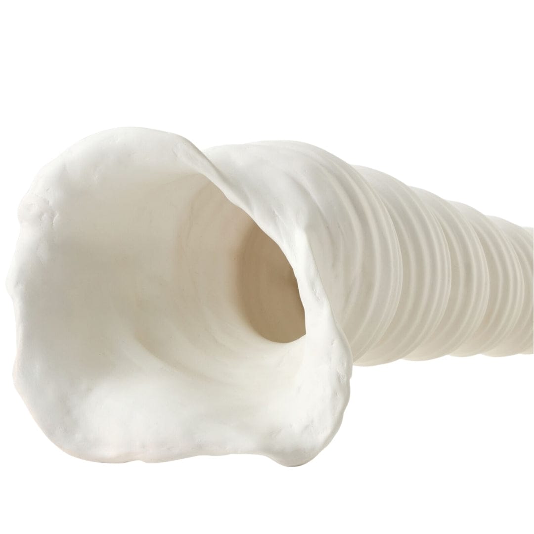 Turbinio Shell Vase Sculptural Objects