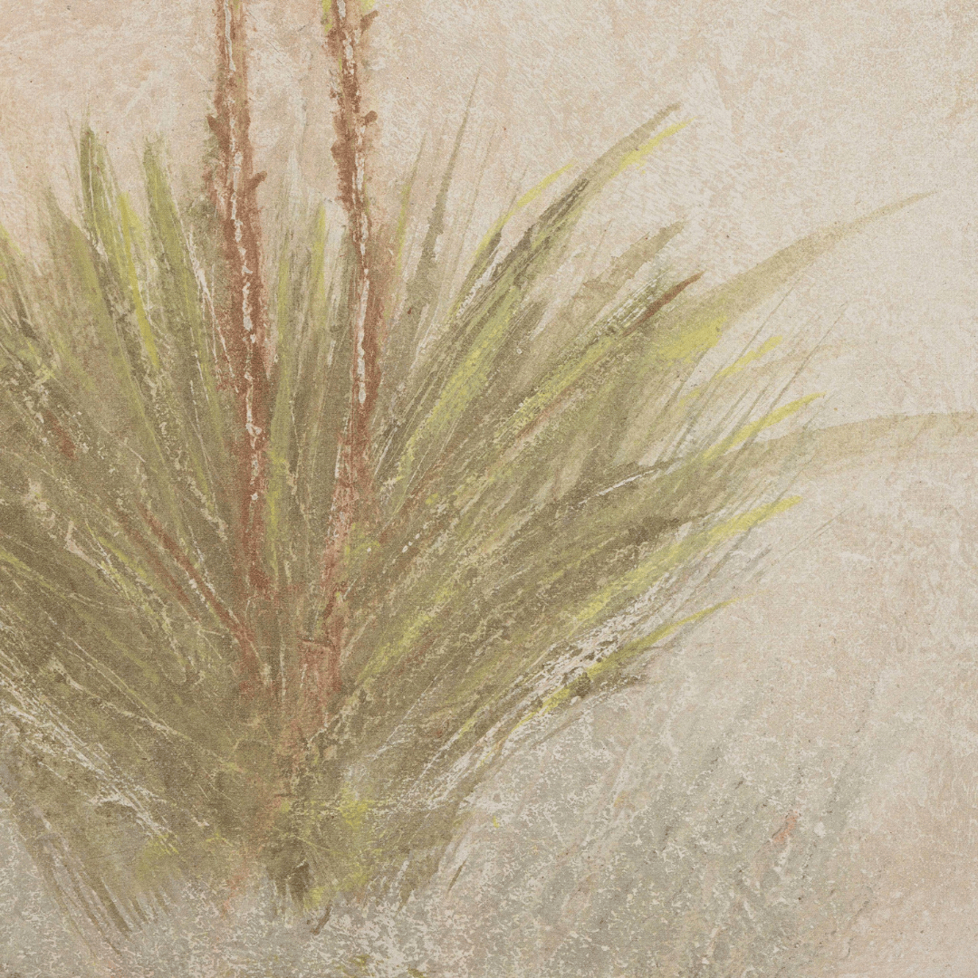 Yucca by Paul Meyer Mixed Media